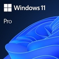 Windows 11 Pro Cro/EN 64bit