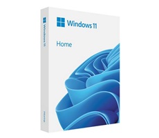 Windows 11 Home 64-bit Eng USB